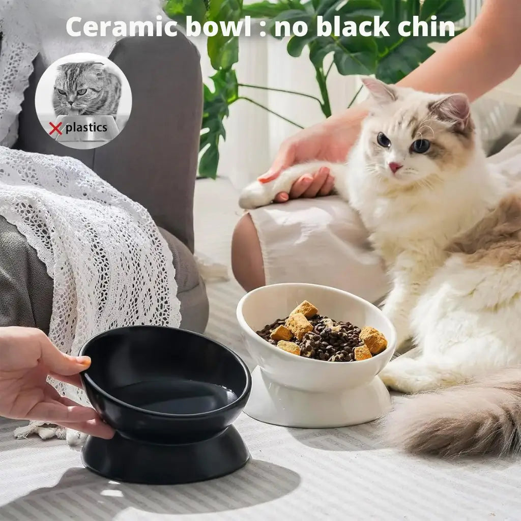 Elevated Tilted Ceramic Pet Bowl with Matte Finish white black & white