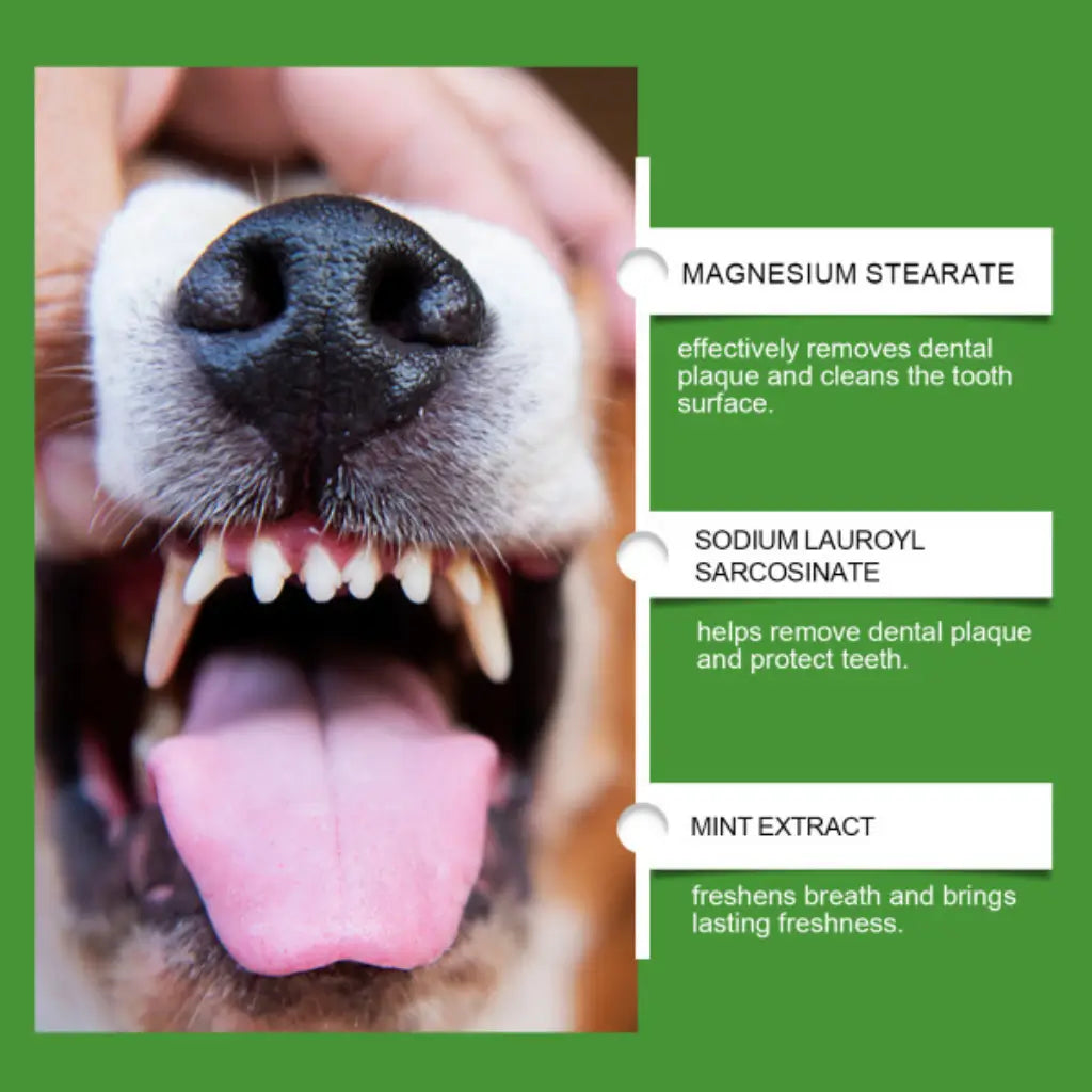 Dog's mouth with teeth and tongue, showing dental care product ingredients on a green background