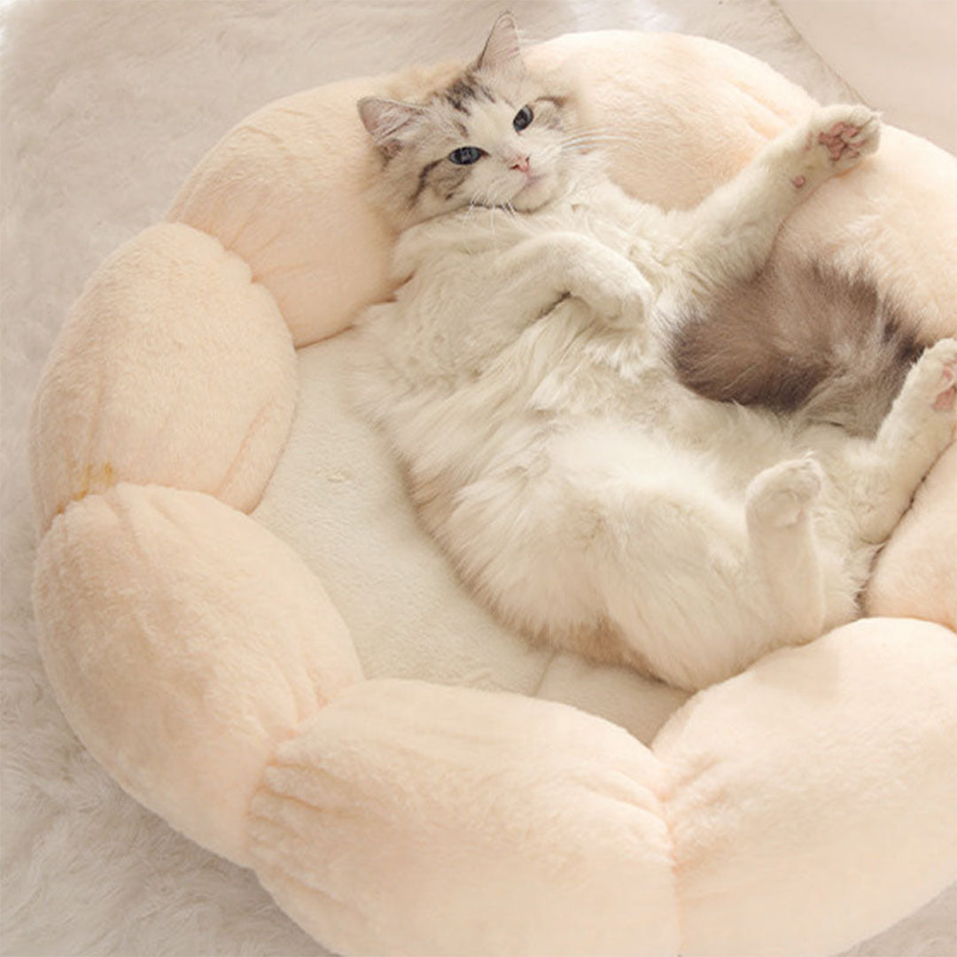 Petal Soft Cat Bed House