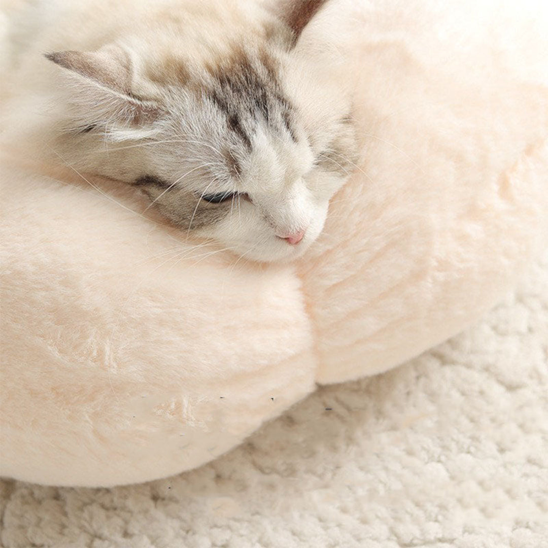 Petal Soft Cat Bed House