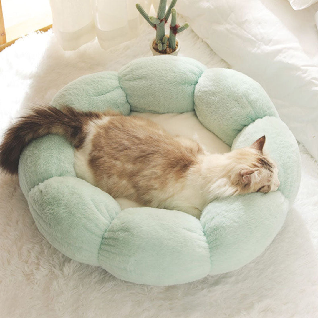 Petal Soft Cat Bed House