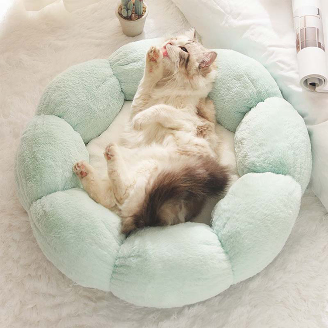 Petal Soft Cat Bed House