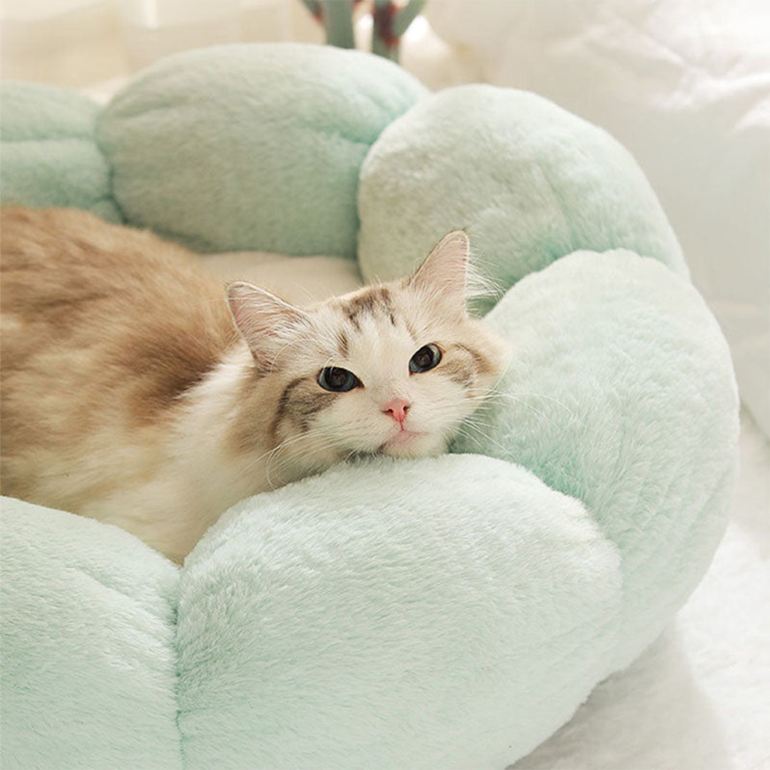 Petal Soft Cat Bed House