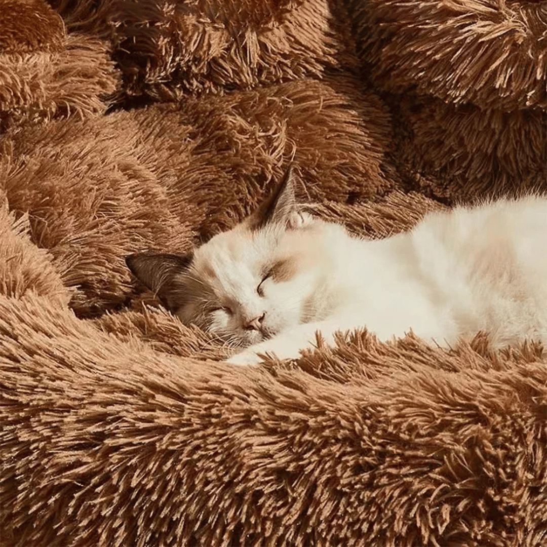 Plush Pet Orthopedic Dog Mattress