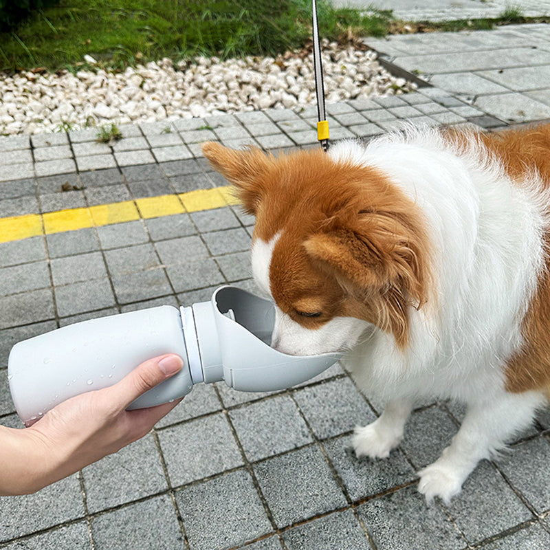 Portable Pet Water Bottle for Travel - LifyPet