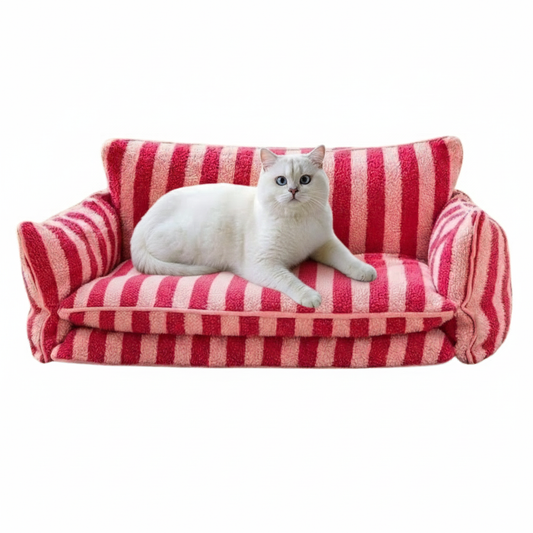 Colorful Soft Pet Sofa Bed for Cats - LifyPet