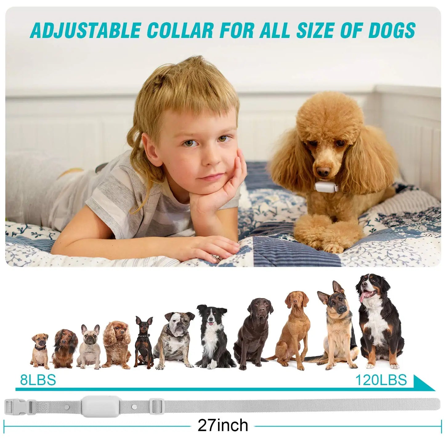 Long Range Dog Training Collar with Remote Control