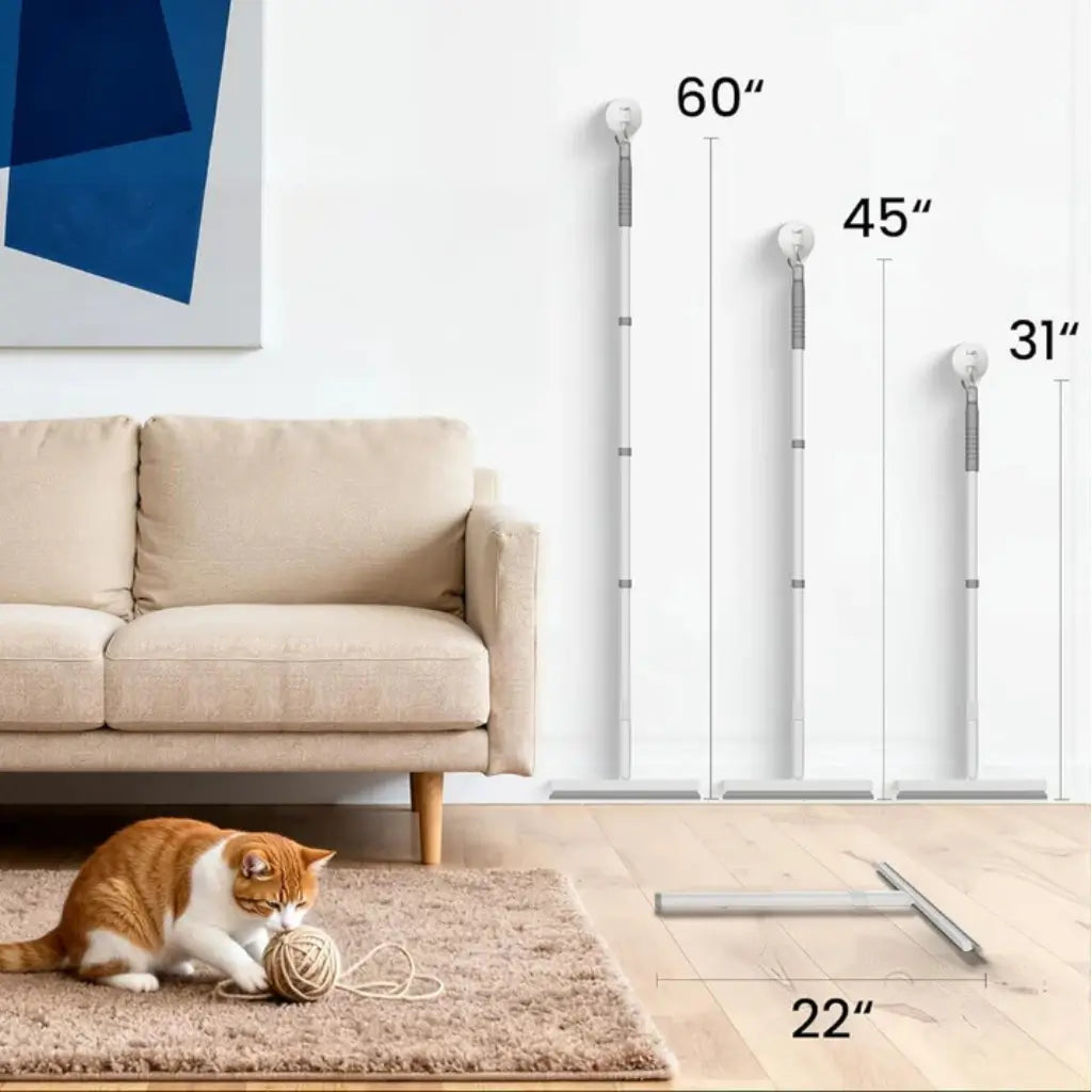 Living room with a beige sofa, cat playing with a ball of yarn, and measurements of a cleaning tool displayed