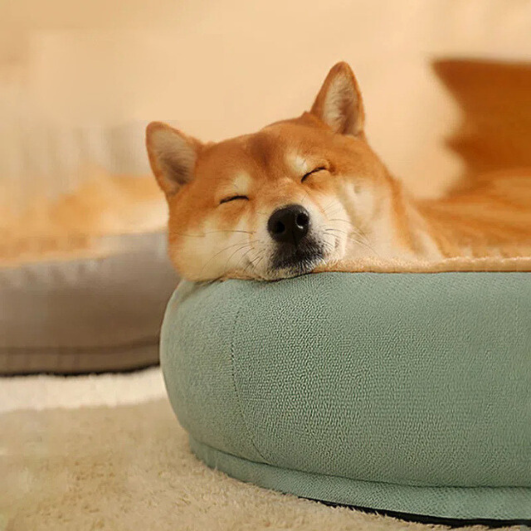 Plush Comfortable Pet Dog Bed