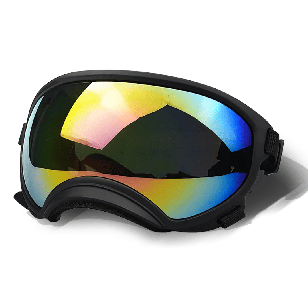 Trendy Pet Shades | Waterproof Dog Sun Glasses