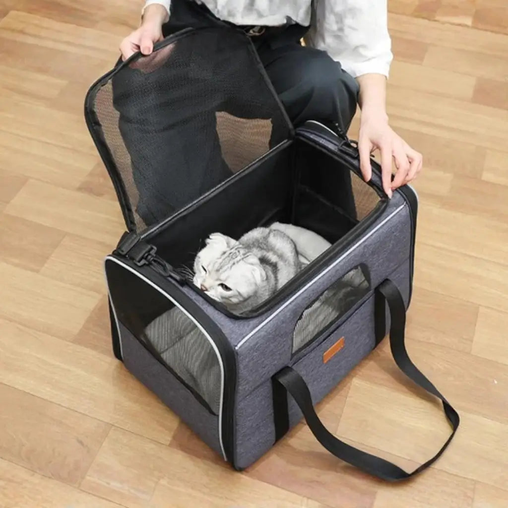 Person holding a gray pet carrier with a cat inside on a wooden floor