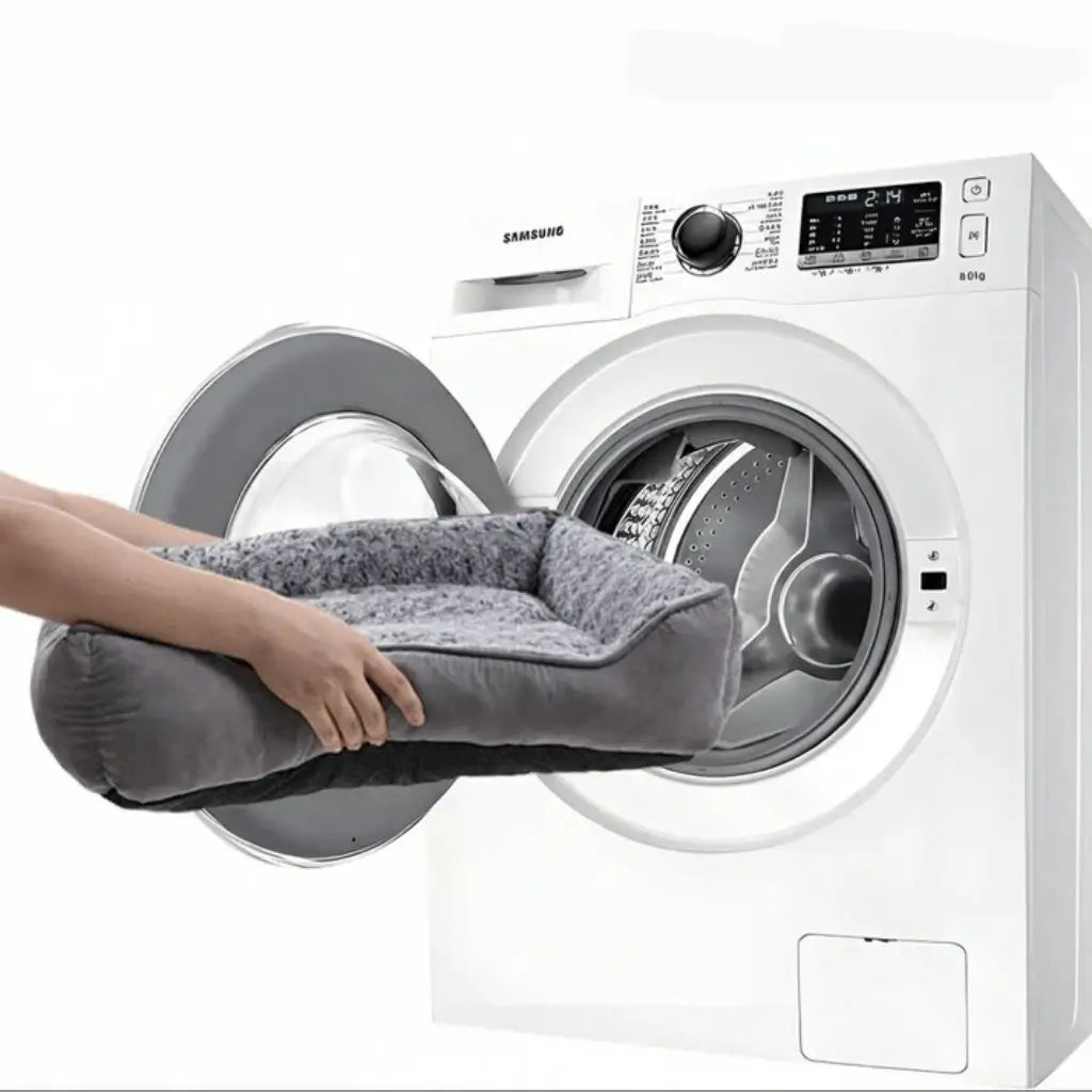 Person holding a pet bed in front of a Samsung washing machine