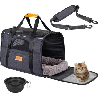 Pet carrier with a kitten inside, including a bowl and cushion on a white background