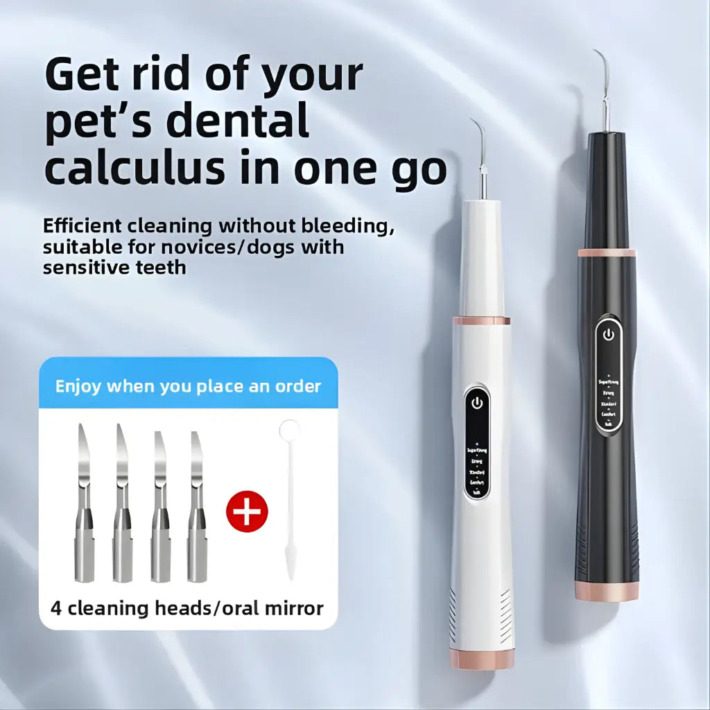 Pet dental cleaning tool set with text on a light gray background
