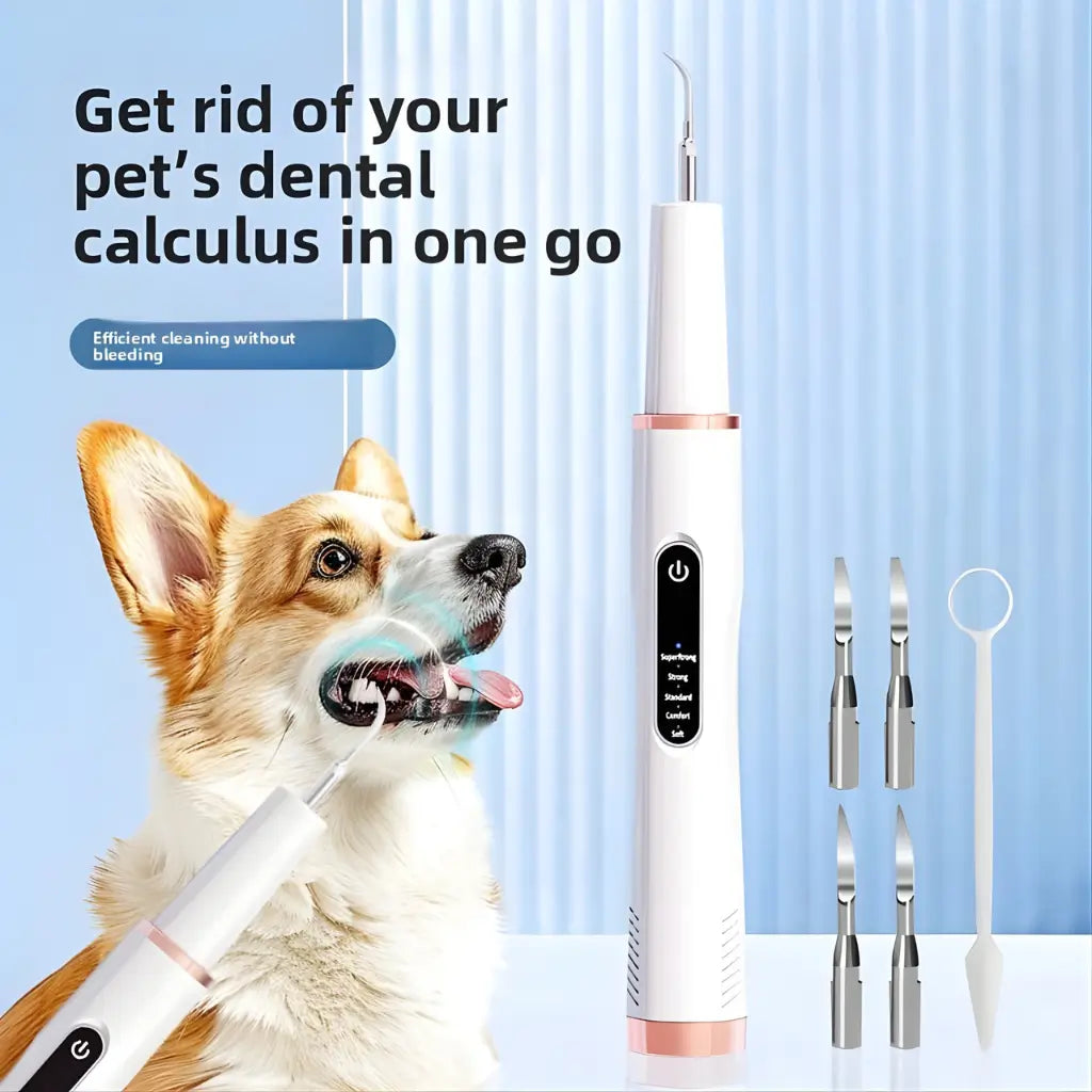 Pet dental cleaning tool with a dog and additional tools on a light blue background