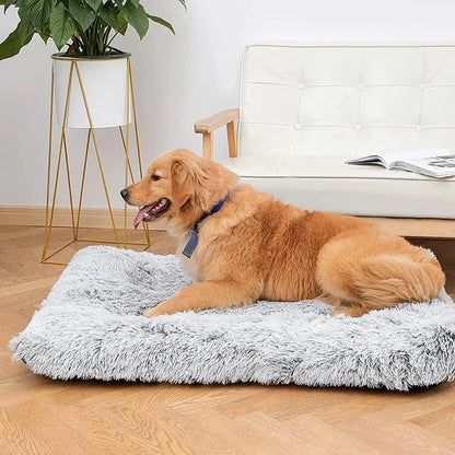 Soft Comfortable Pet Bed Mattress with Removable Cover