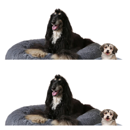Comfy Donut Dog Bed with Removable Washable Cover