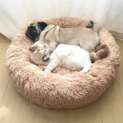 Comfy Donut Dog Bed with Removable Washable Cover