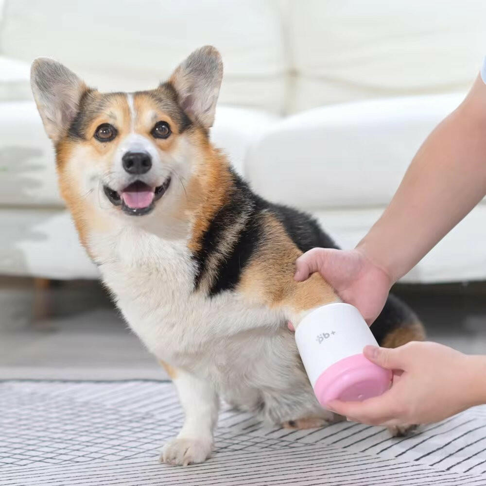 Easy Pet Paw Washer with Gentle Soft Bristles - LifyPet