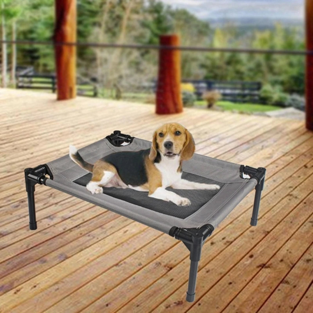 Elevated Pet Bed with Durable Steel Frame