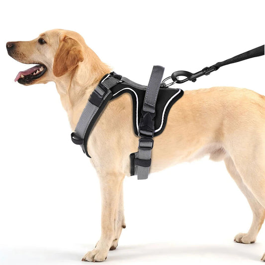 Durable Puppy Vest with Secure Grip for Safe Walking - LifyPet