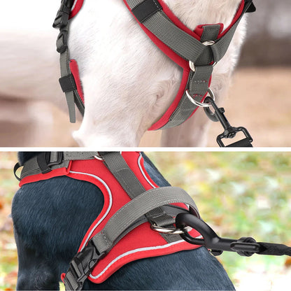 Durable Puppy Vest with Secure Grip for Safe Walking