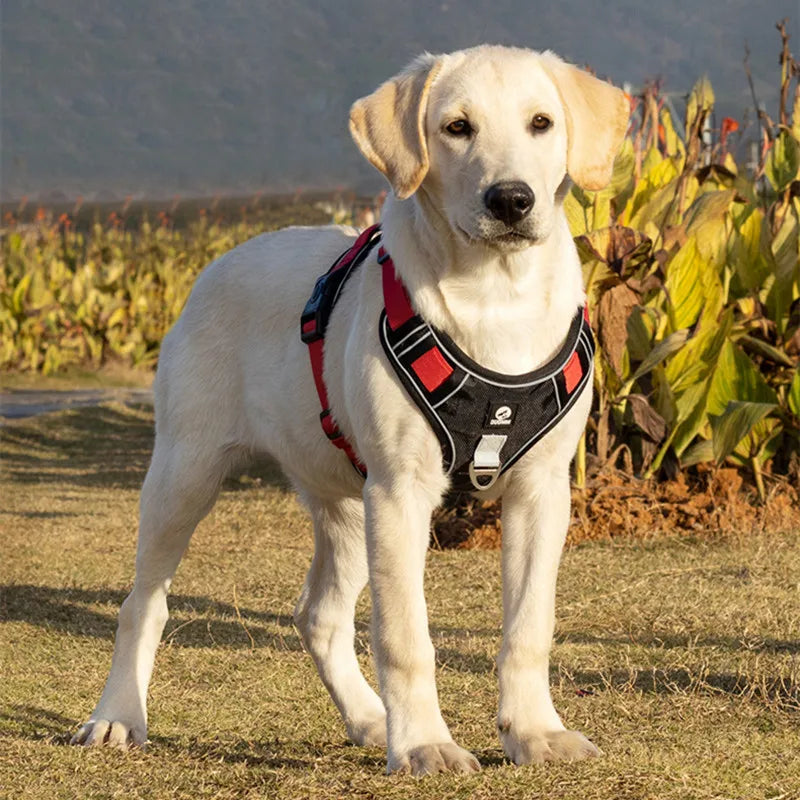 Comfortable Dog Vest Harness for Easy Walking Control
