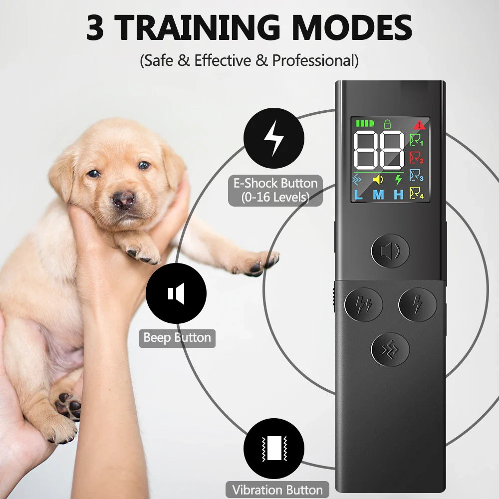 Effective 500m Pet Training Collar and Remote Controller