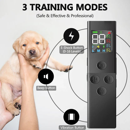 Effective 500m Pet Training Collar and Remote Controller