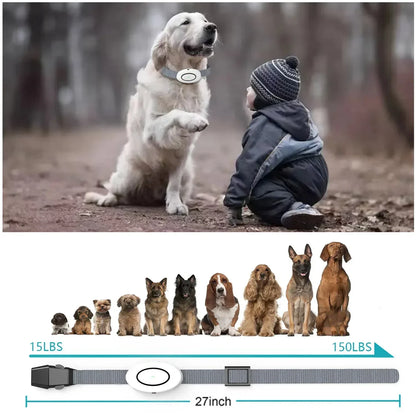 Wireless Pet Training Collar with Rechargeable Remote