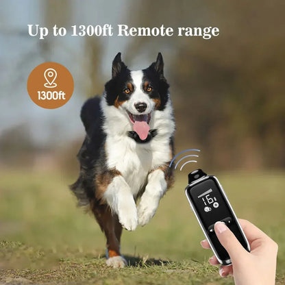 Long Range Remote Dog Training Collar