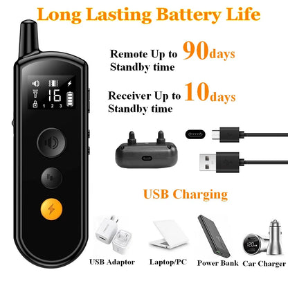 Long Range Dog Training Collar with LED Light & Remote