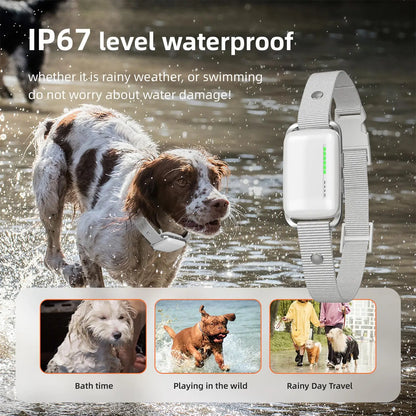Rechargeable Long Range Electric Dog Training Collar