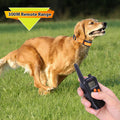 Durable Rechargeable 300m Dog Training Collar with Remote