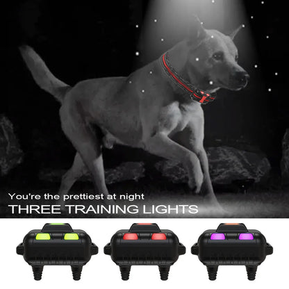 Durable Nylon Pet Training Collar & Remote