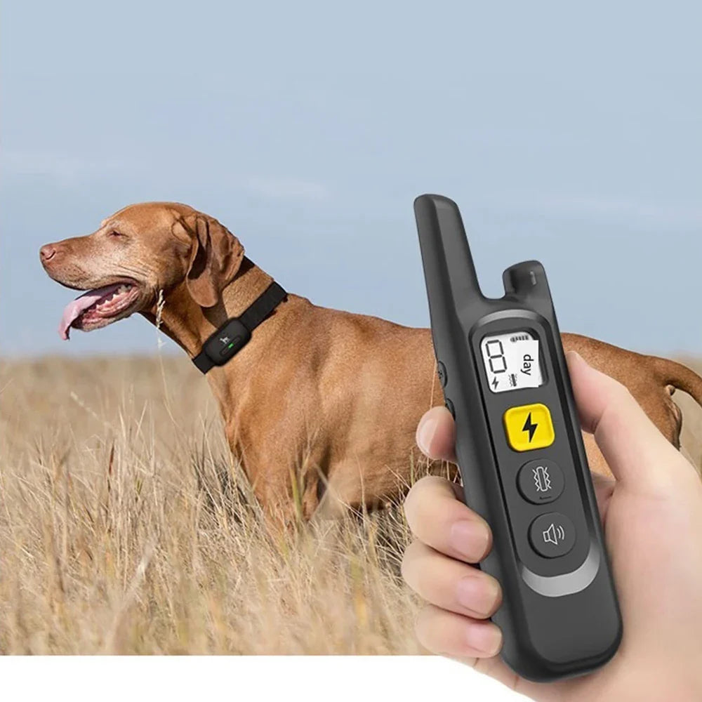 Long Range Dog Training Collar with Remote Controller