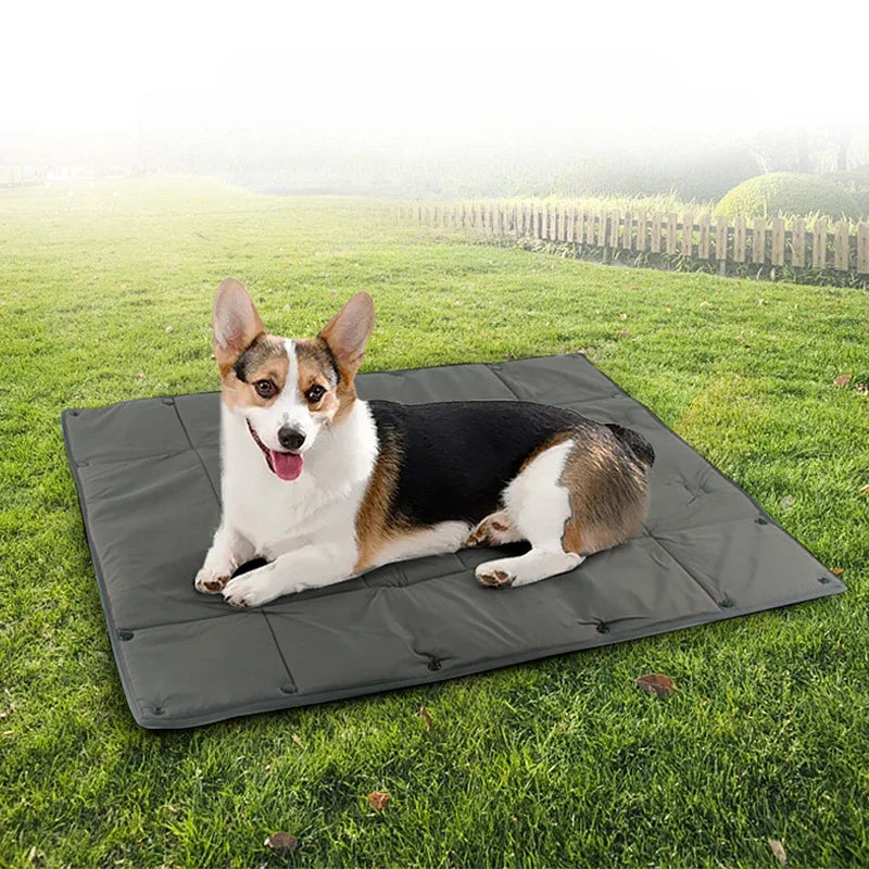 Compact Foldable Pet Bed & Carrier for Outdoor Use