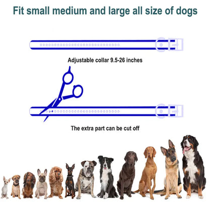 Wireless Remote Dog Training Collar 1000m Range