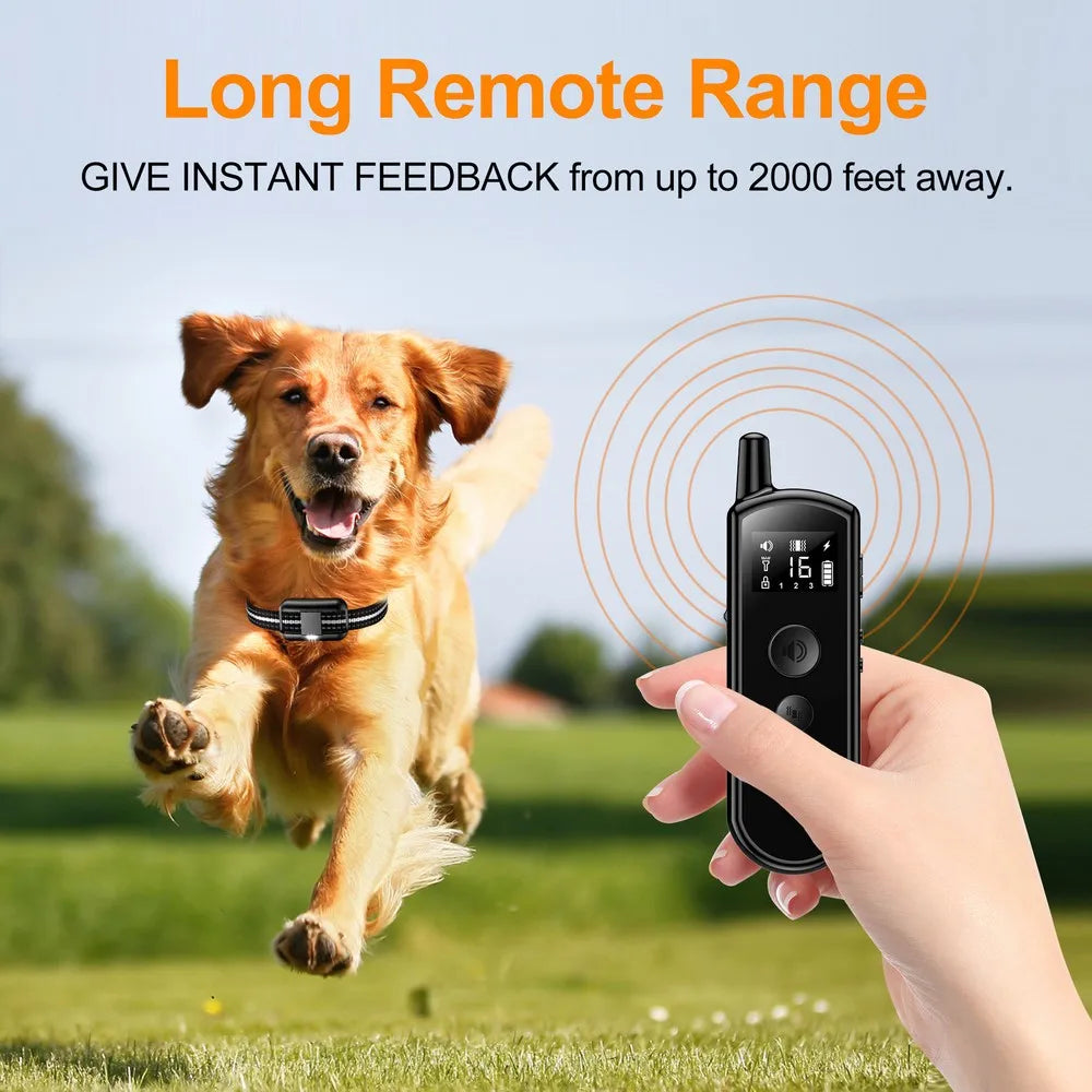 Long Range Dog Training Collar with LED Light & Remote
