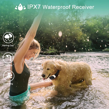 Waterproof Rechargeable Dog Trainer Collar & Remote