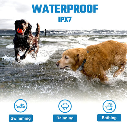 Effective Waterproof Remote Dog Training Collar System