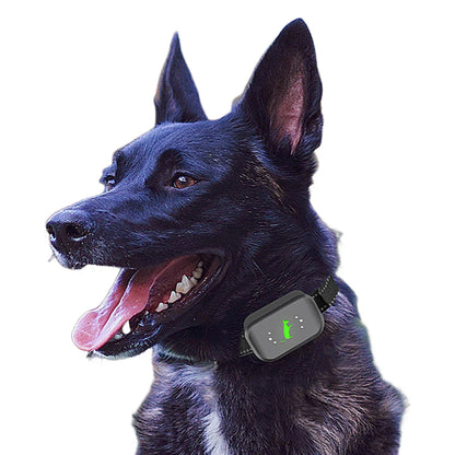 Long Range Remote Dog Trainer Collar for All Sizes
