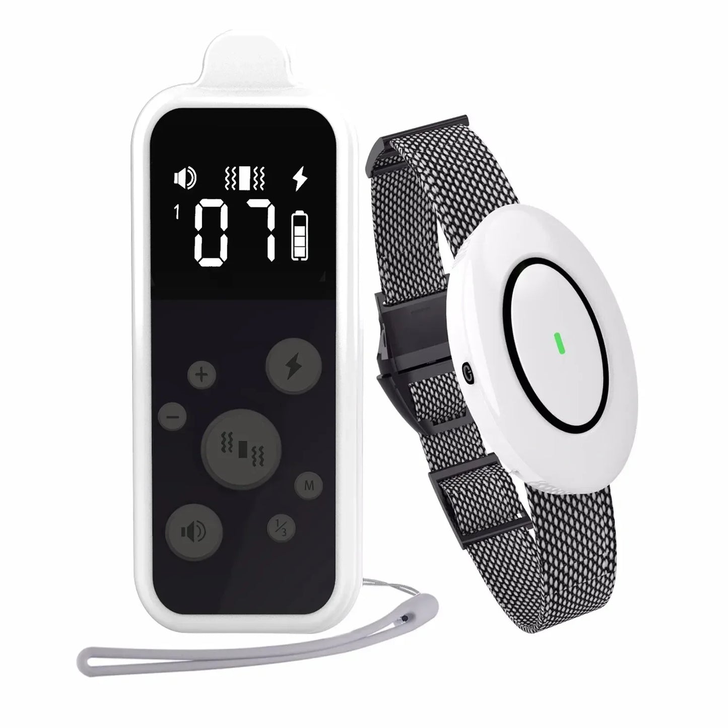 Wireless Pet Training Collar with Rechargeable Remote - LifyPet