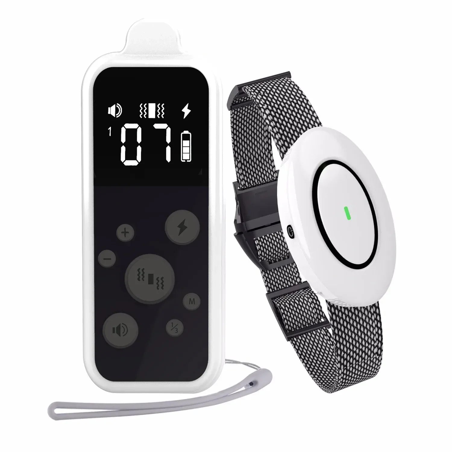 Wireless Pet Training Collar with Rechargeable Remote - LifyPet