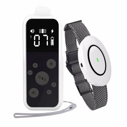 Wireless Pet Training Collar with Rechargeable Remote - LifyPet