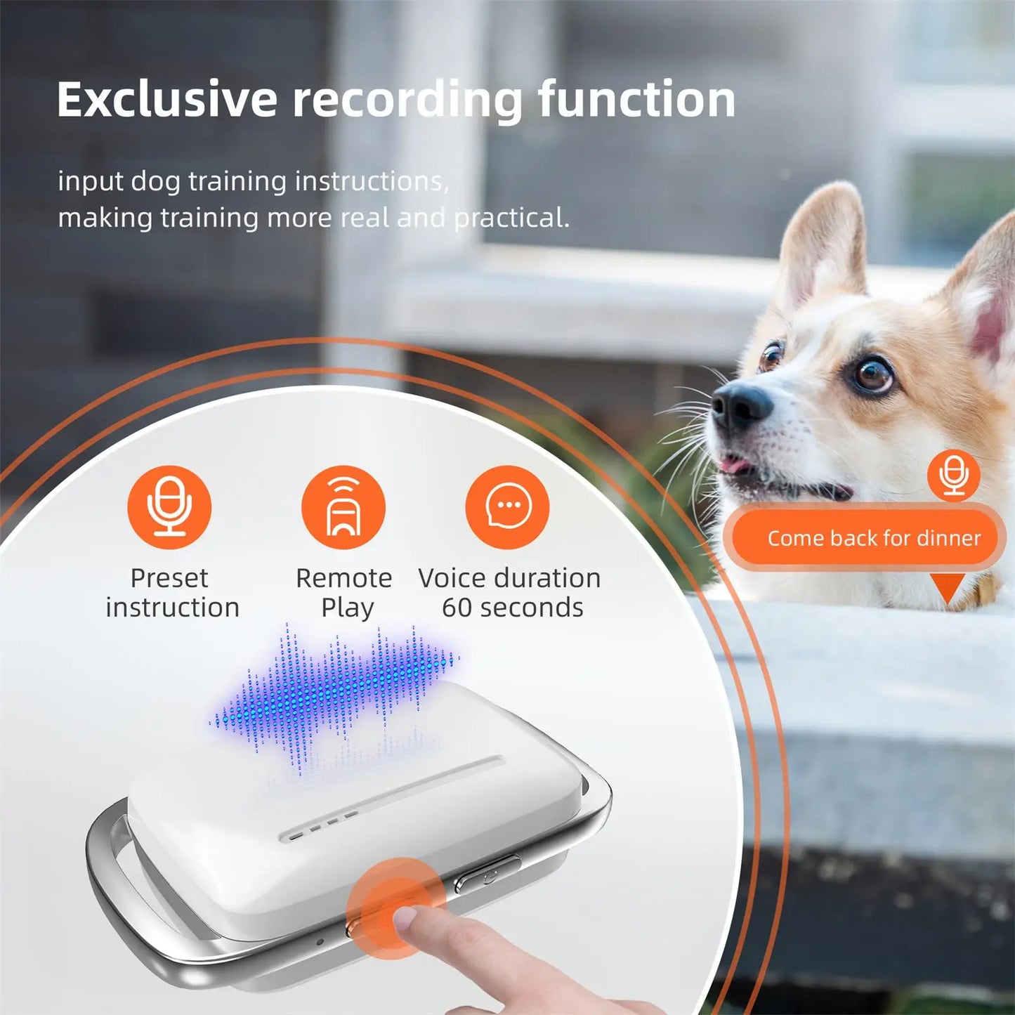 Rechargeable Long Range Electric Dog Training Collar