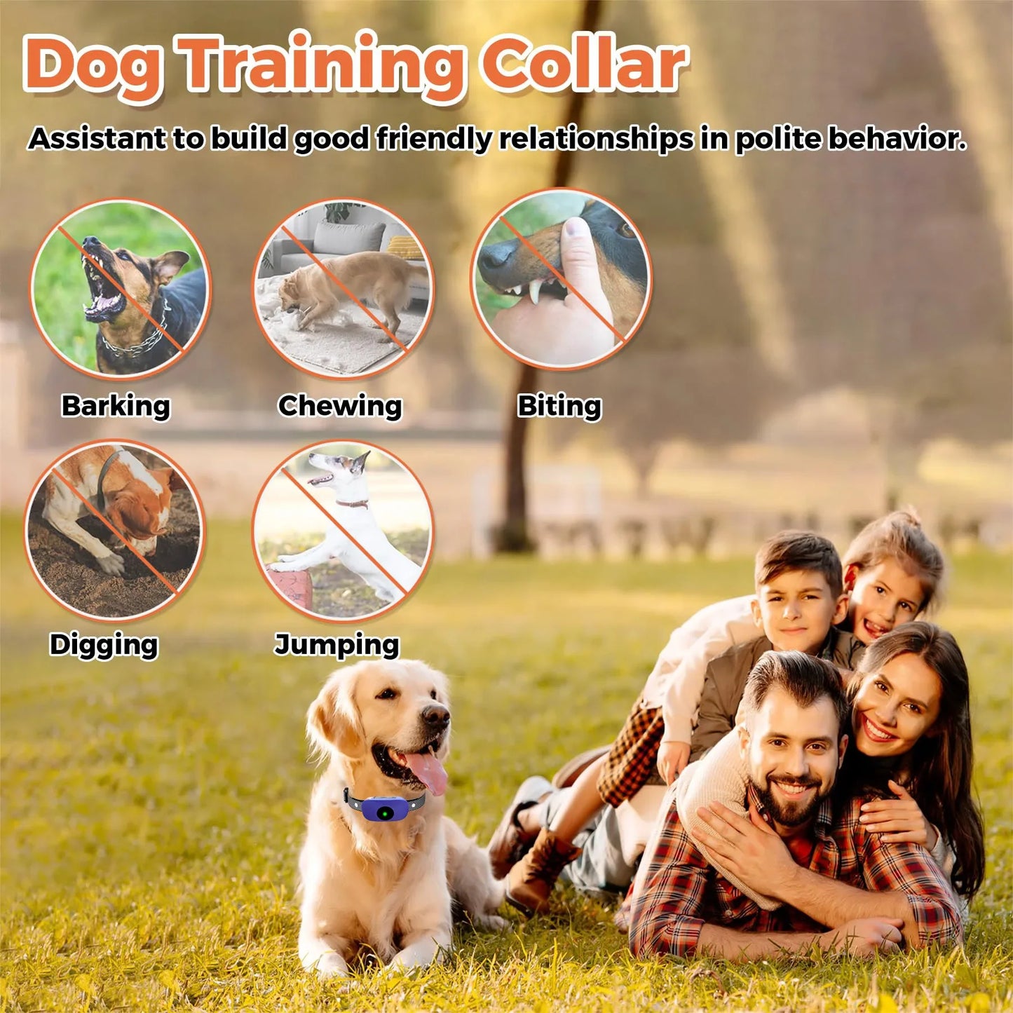 Long Range Waterproof Dog Training Collar with Sound Vibration
