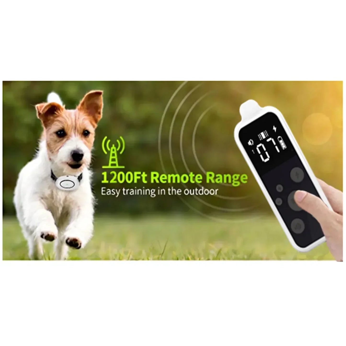 Wireless Pet Training Collar with Rechargeable Remote