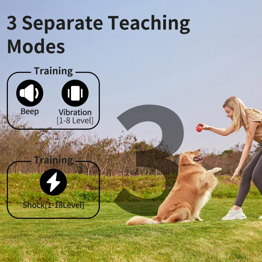 Long Range Dog Training Collar with Color LCD Remote