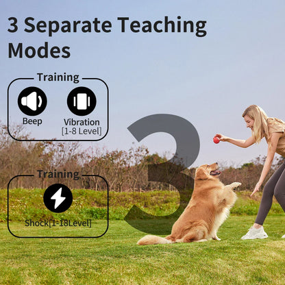 Long Range Dog Training Collar with Color LCD Remote